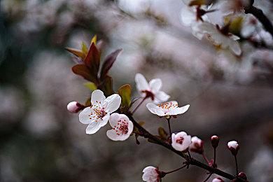 《方舟：生存进化》次世代版跳票 今年10月发售